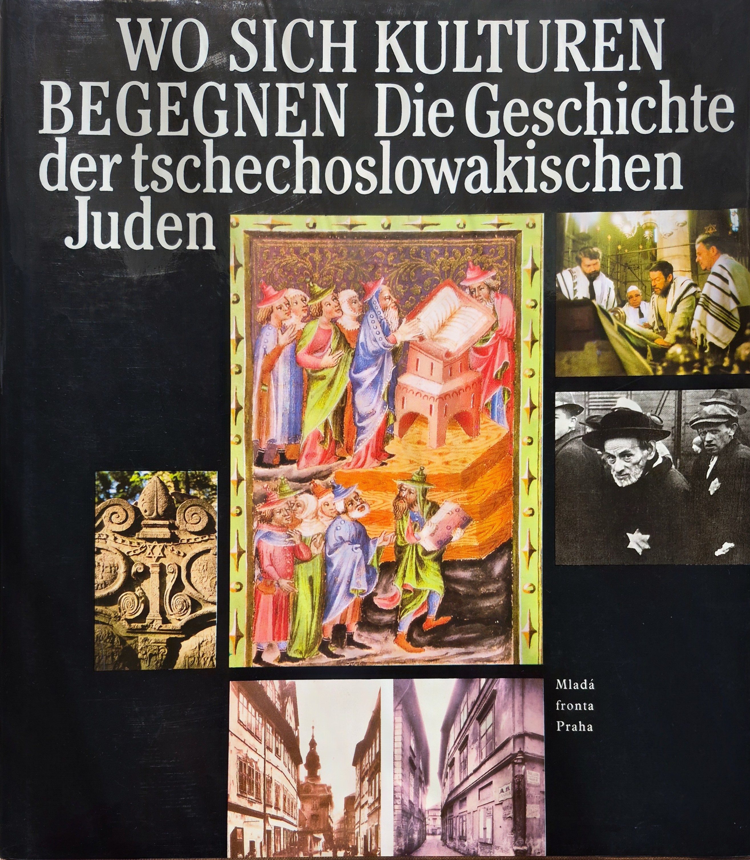 Wo sich Kulturen begegnen. Die Geschichte der tschechoslowakischen Juden